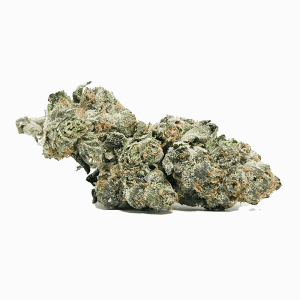 Gelato AA