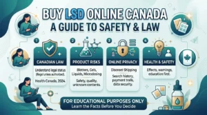 Buy LSD Online Canada educational guide infographic mapping safety risks and legal status